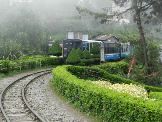 Darjeeling Hill Tour