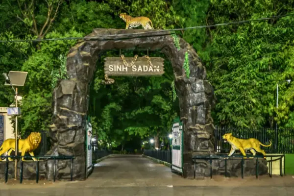 Gir Wildlife Safari