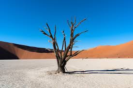 Deadvlei Landscape