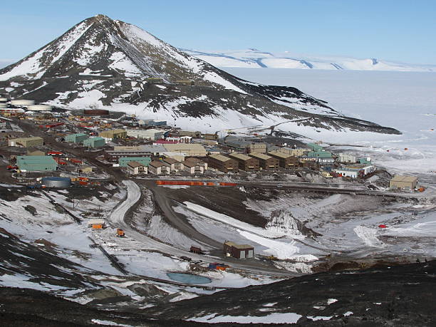 Antarctic Penguins