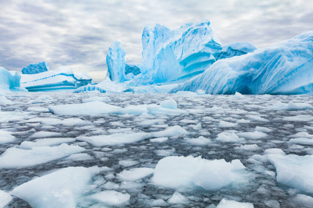 Polar Exploration