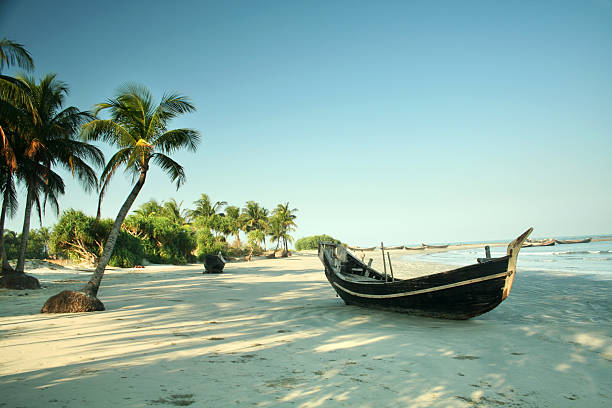 Best solo travel packages in Coimbatore