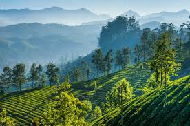Darjeeling