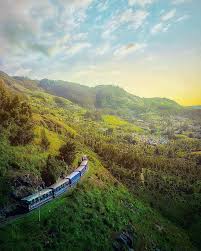 Ooty