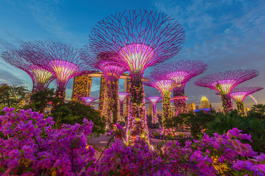 Singapore City Skyline
