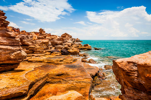 Best holiday package booking in Coimbatore
