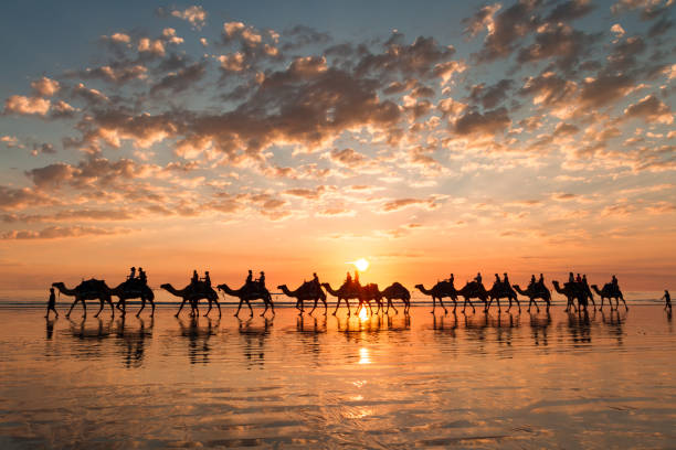 Best holiday package booking in Coimbatore