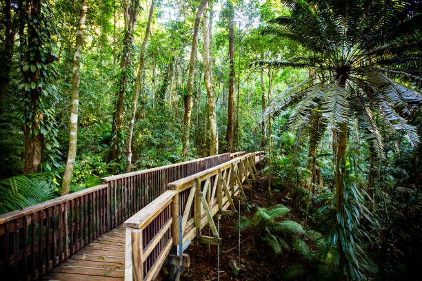 Best adventure travel packages in Coimbatore