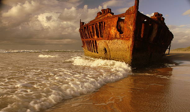 Fraser Island Adventure