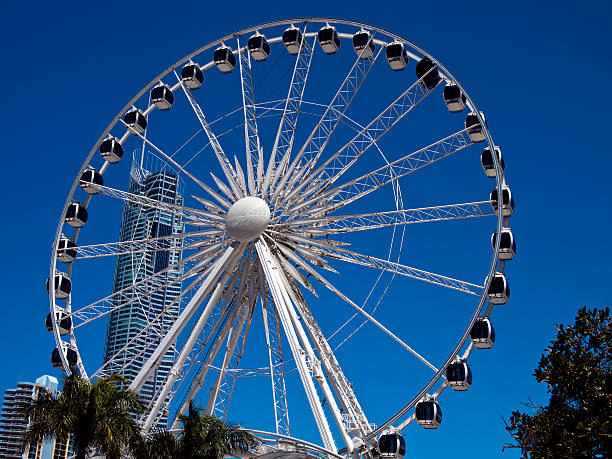 Gold Coast Fun