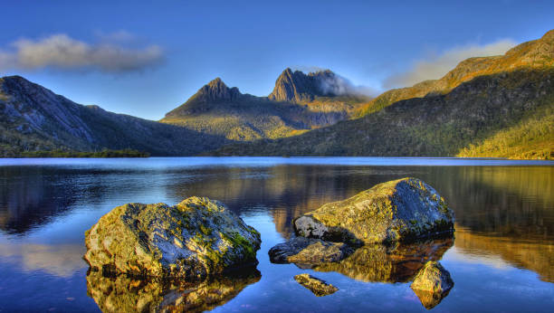 Freycinet