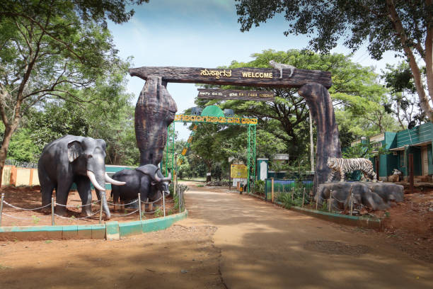 Mysuru Zoo