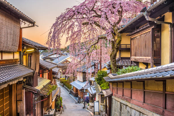 Japan Honeymoon Tour