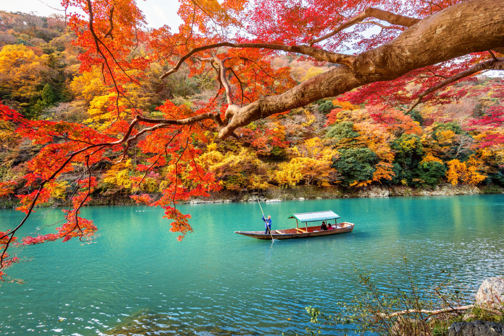 Japan Honeymoon
