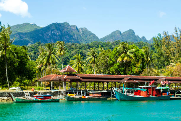 Langkawi Mangrove Cruise