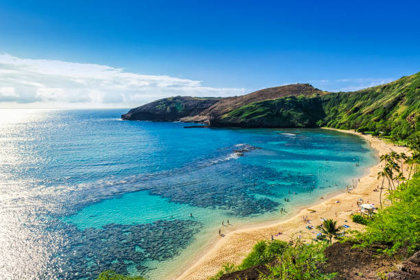 Honolulu Tour