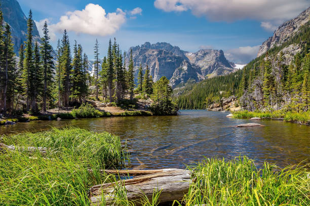 Alberta Falls